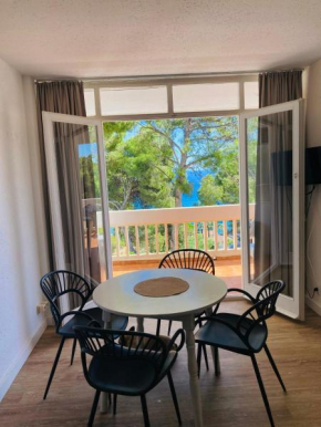 Appartement Vue Mer avec Piscine et WIFI